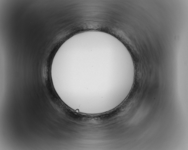 X0000091660683200709201145