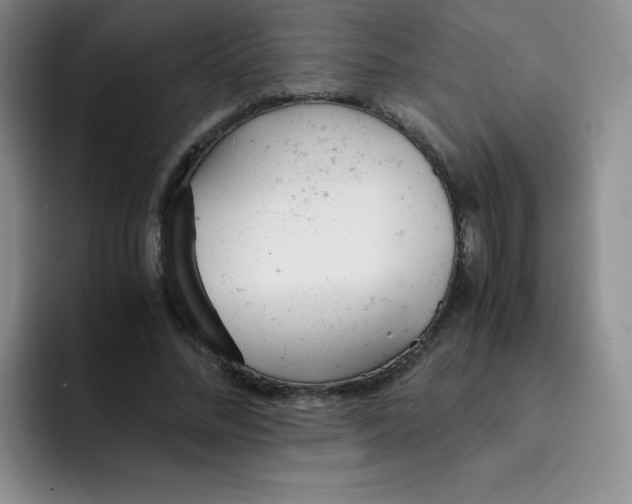 X0000091660684200709201145