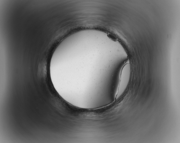 X0000091660685200709201145