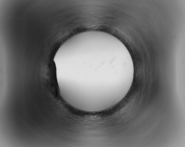 X0000091660689200709201144