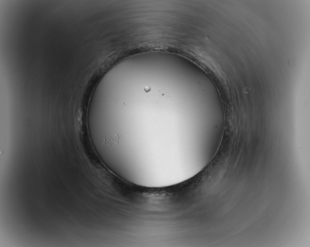 X0000091660693200709201144