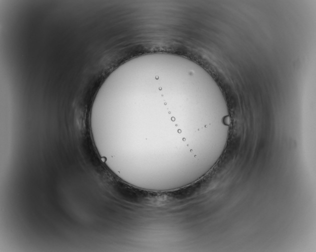 X0000091660695200709201144