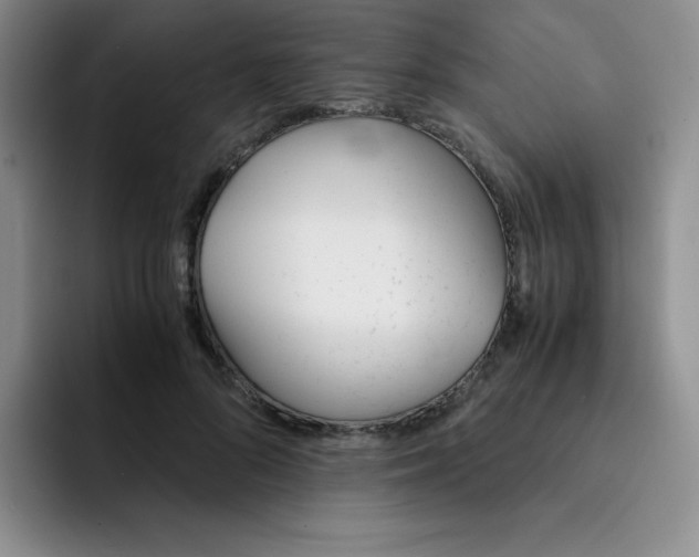 X0000091660696200709201144