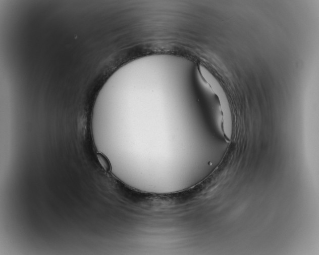 X0000091660697200709201144