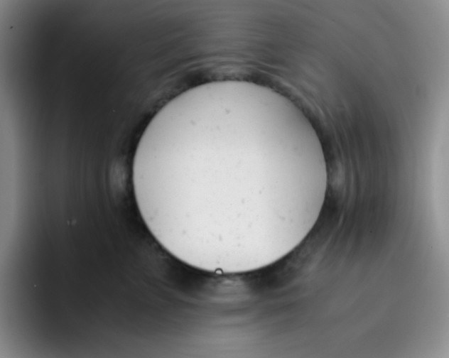 X0000091660715200709201144