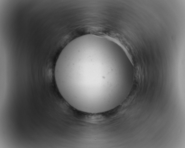 X0000091660716200709201144