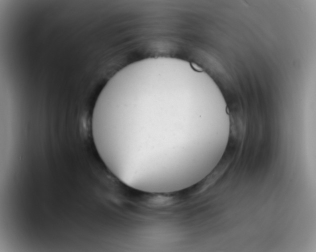 X0000091660718200709201144