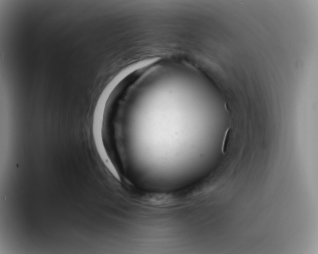 X0000091660720200709201144