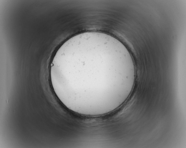 X0000091660721200709201143