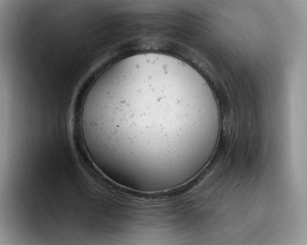 X0000091660722200709201143