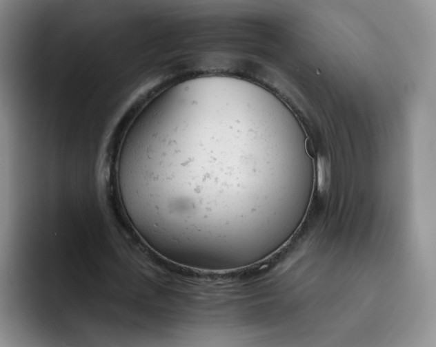 X0000091660723200709201143