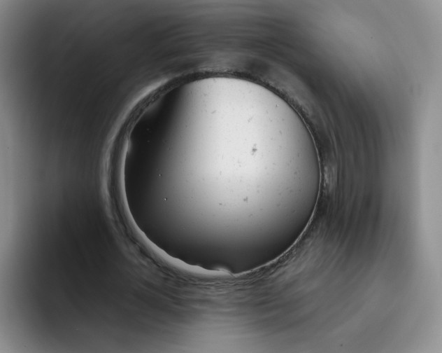 X0000091660724200709201143