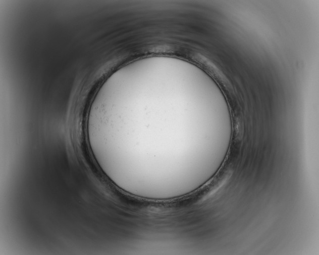 X0000091660725200709201143