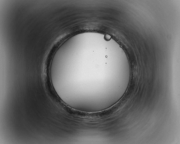 X0000091660727200709201143