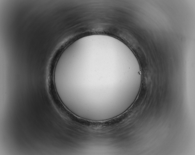 X0000091660728200709201143