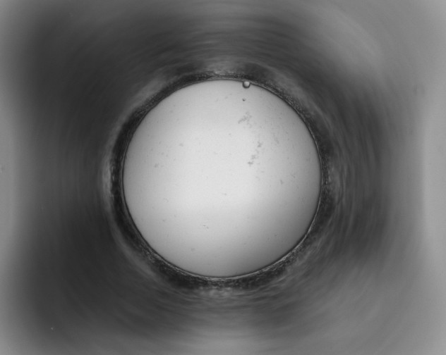 X0000091660730200709201143
