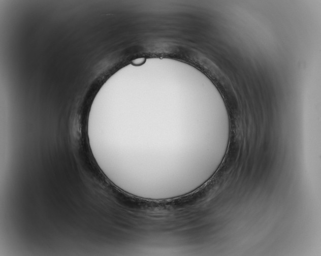 X0000091660731200709201143