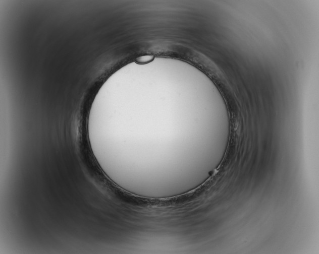 X0000091660732200709201143