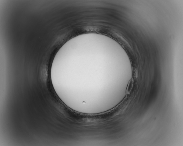 X0000091660733200709201144