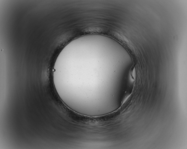 X0000091660735200709201144