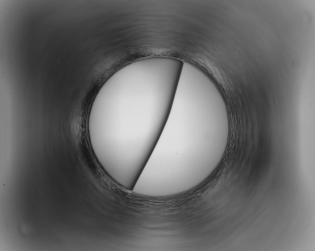 X0000091660736200709201144