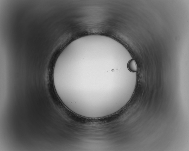 X0000091660738200709201144