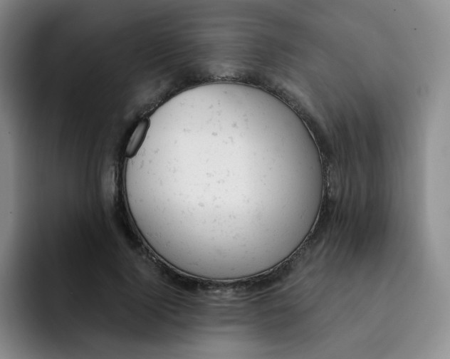X0000091660740200709201144