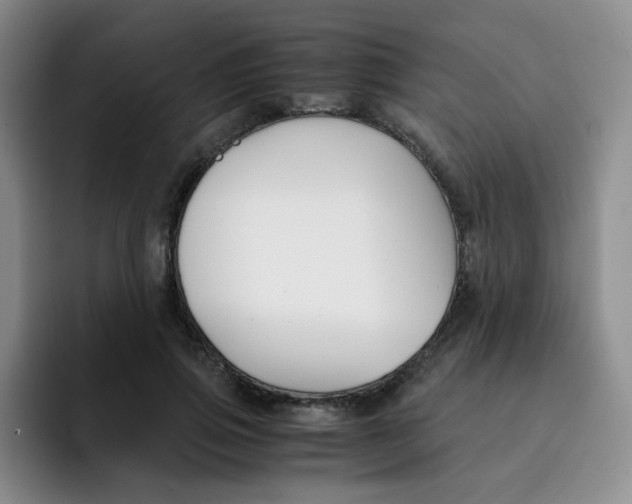 X0000091660741200709201144