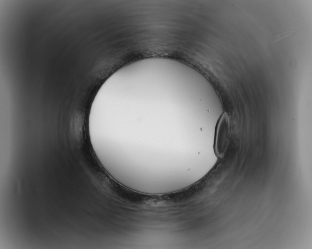 X0000091660742200709201144