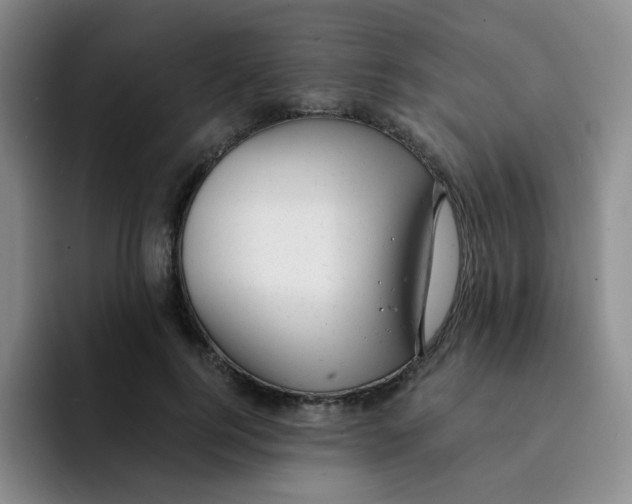 X0000091660744200709201144