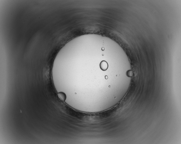 X0000091660745200709201144
