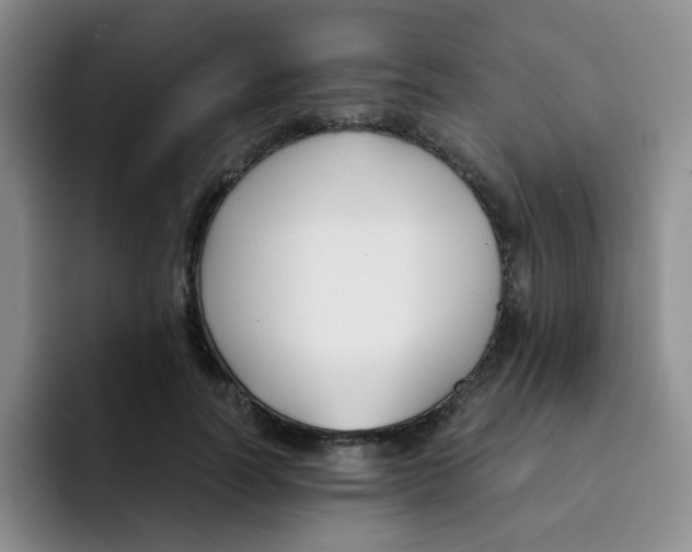 X0000091660746200709201144