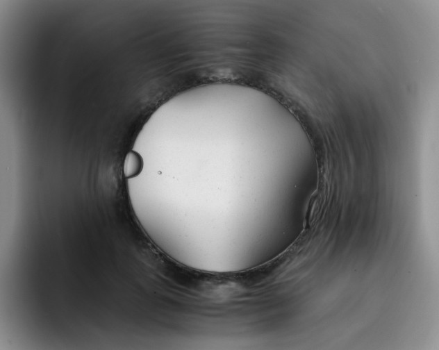 X0000091660747200709201144