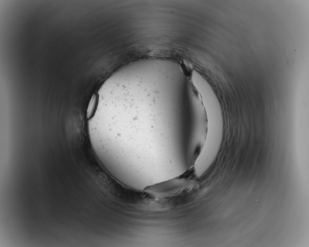 X0000091660748200709201144
