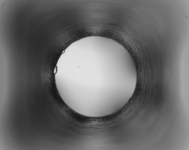 X0000091660750200709201144