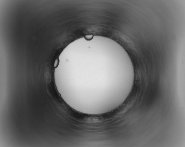 X0000091660751200709201144