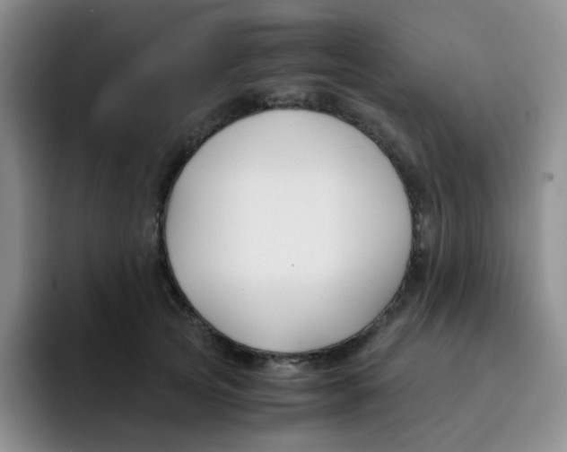 X0000091660753200709201144