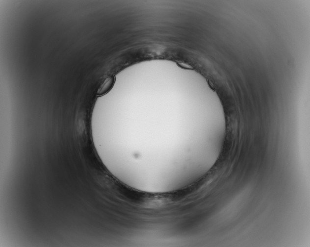 X0000091660754200709201144