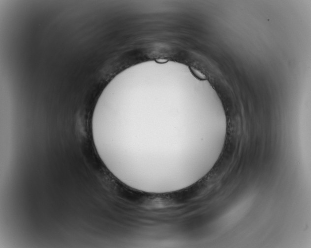 X0000091660755200709201144