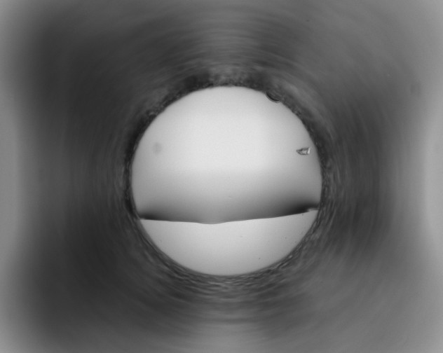 X0000091660756200709201144
