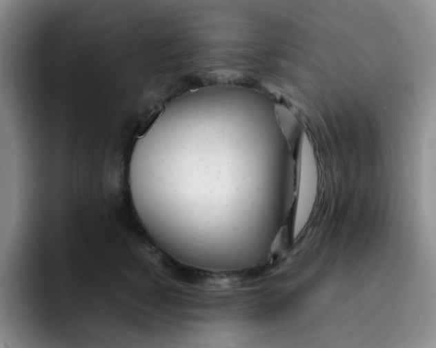 X0000091660760200709201144