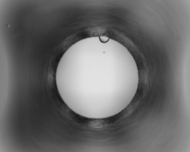 X0000091660761200709201144