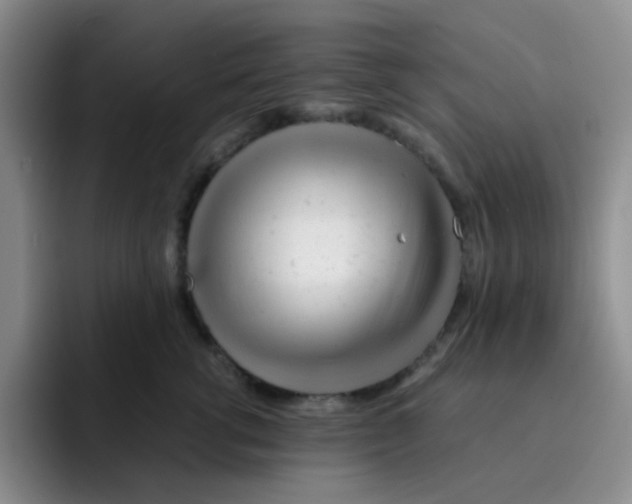 X0000091660762200709201144