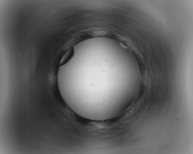 X0000091660763200709201144
