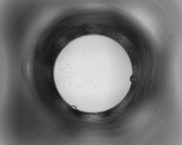 X0000091660765200709201144