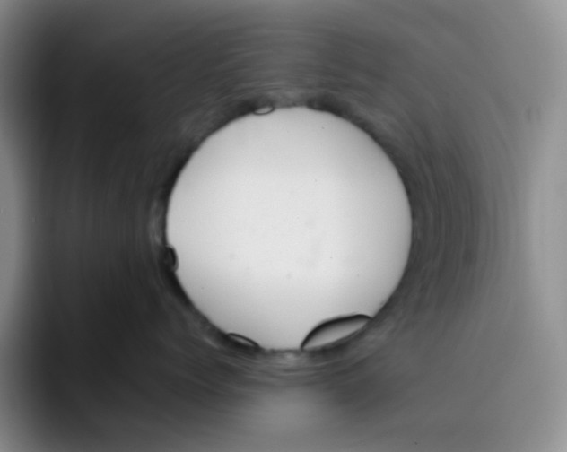 X0000091660768200709201144