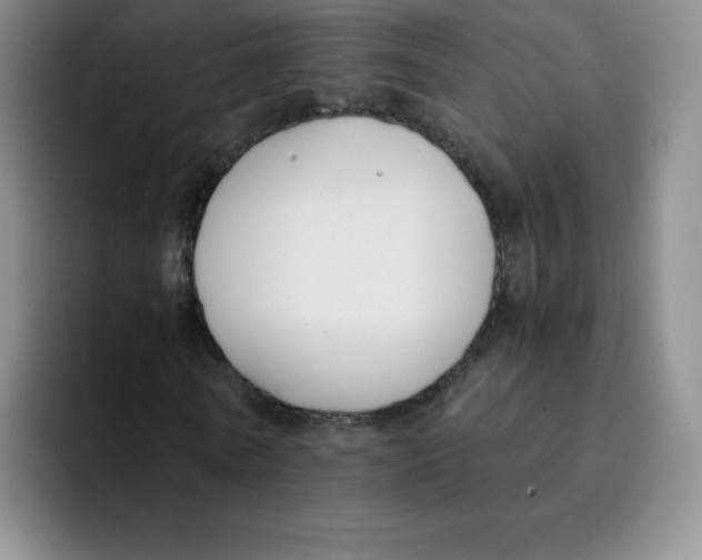 X0000091660770200709201143