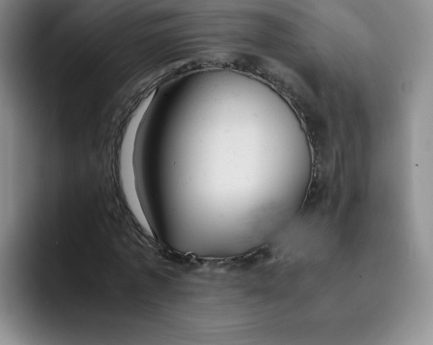 X0000091660773200709201143