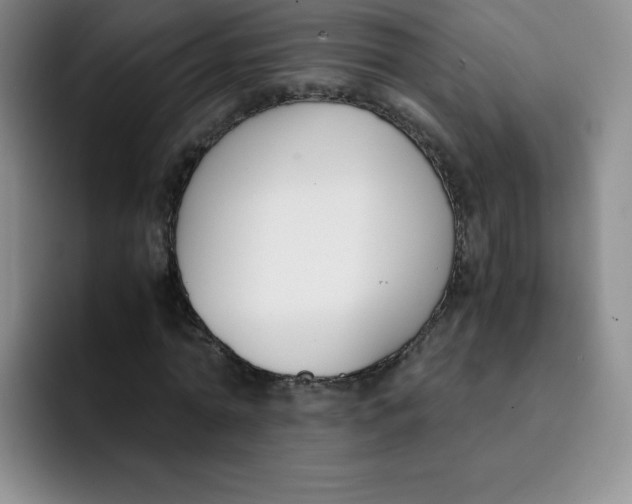 X0000091660774200709201143