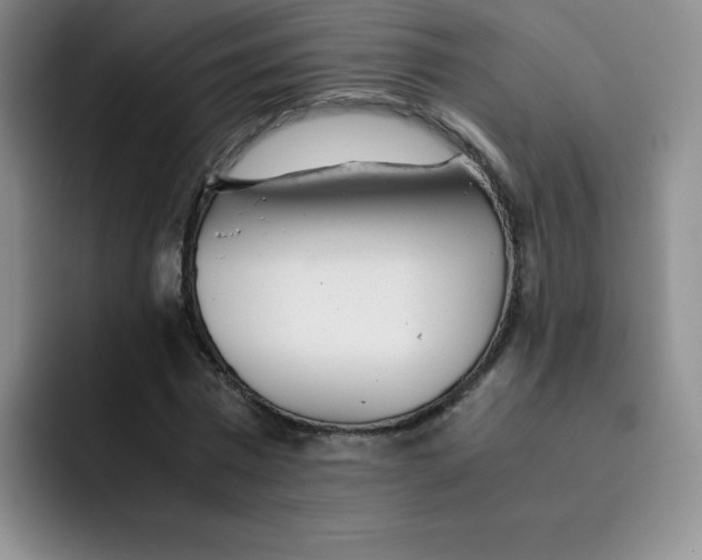 X0000091660777200709201143